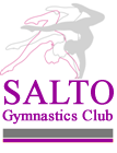 salto_logo